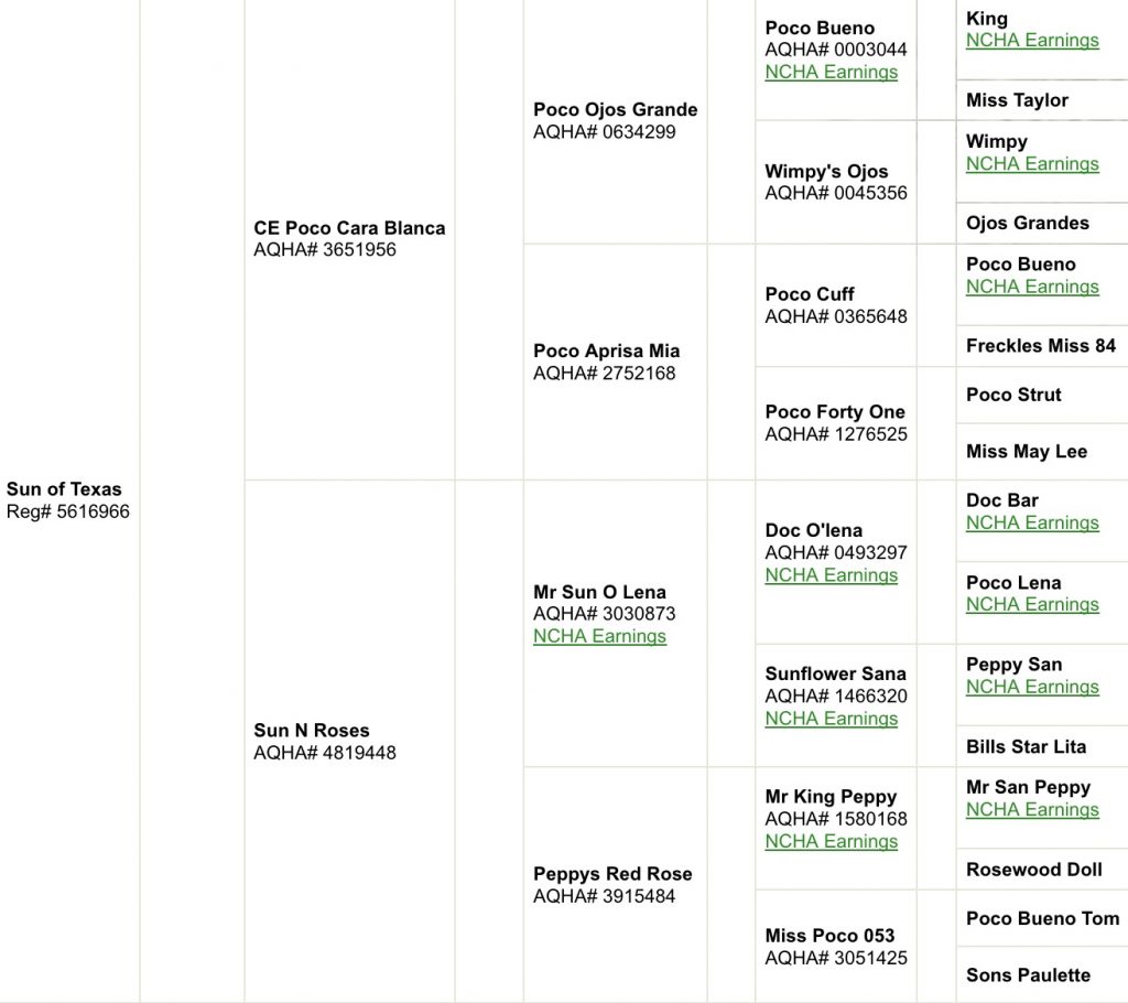 Sun of Texas Pedigree
